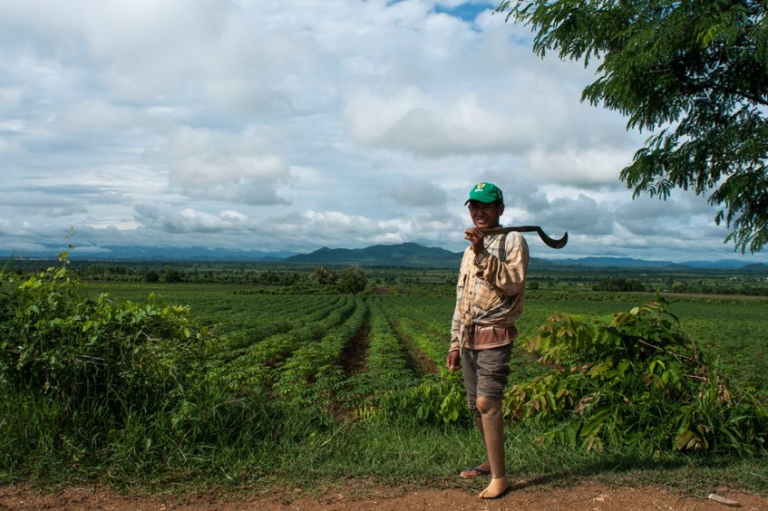 Camboja: de campos minados a campos de arroz