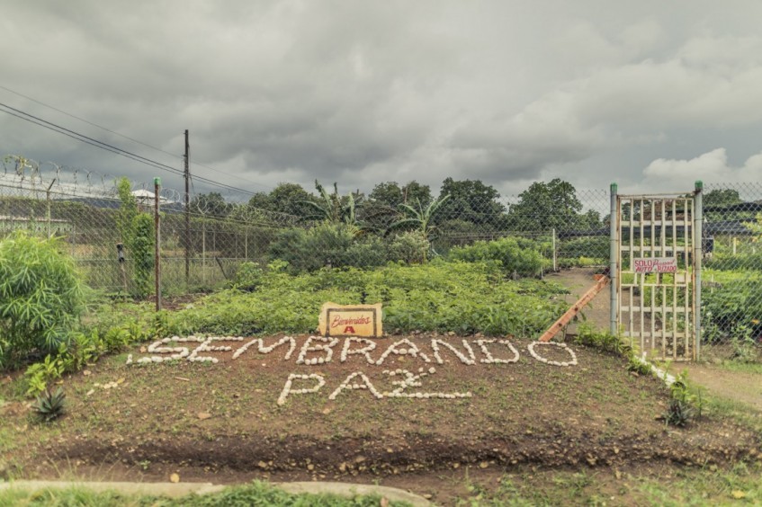 播种希望：生态园帮助巴拿马在押人员重塑生活