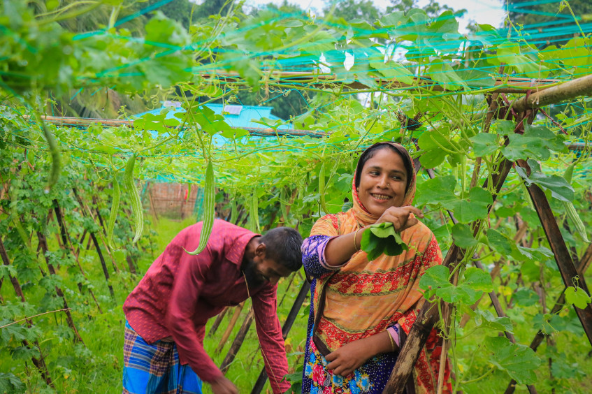 孟加拉国：2023年的挑战、成就与影响