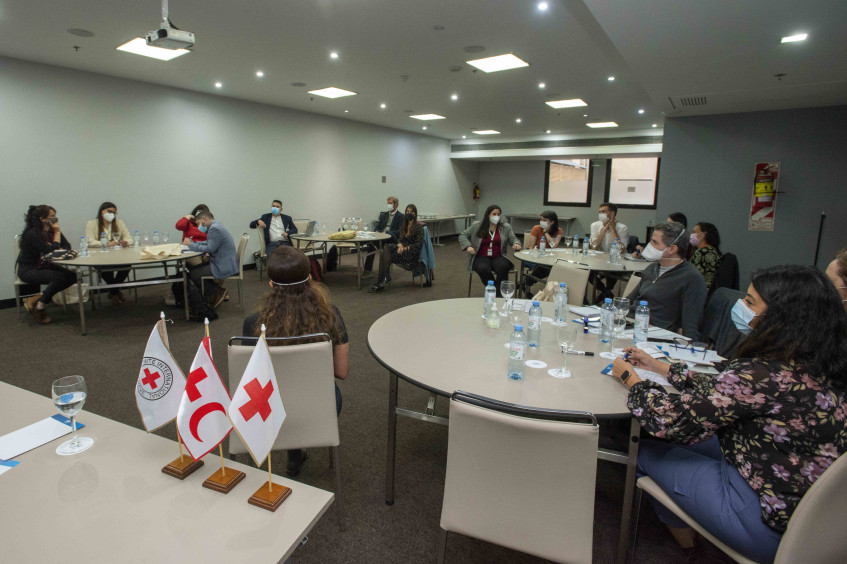 International Red Cross and Red Crescent Movement: Communication teams strengthen joint working in the Southern Cone countries