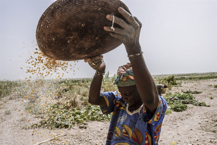 Обостряющаяся нехватка продовольствия: миллионам людей в зонах конфликтов грозит жесточайший кризис