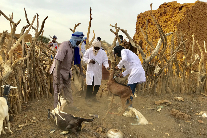 Mauritanie : notre action de janvier à décembre 2022