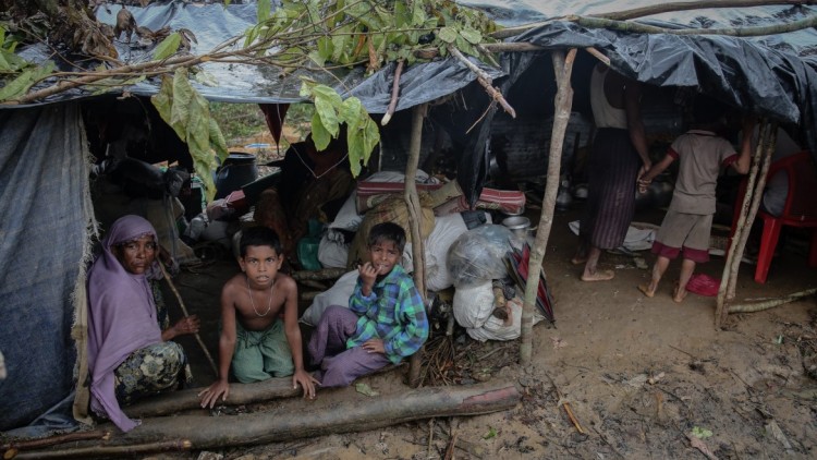 أزمة راخين في ميانمار: حياة مدمرة واحتياجات مُلّحة