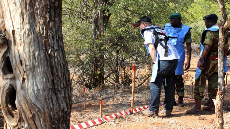 Zimbábue: dupla jornada de trabalho para remoção das minas terrestres