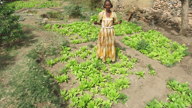 Eritrea: The foot pump that changed the lives of Letina and her family