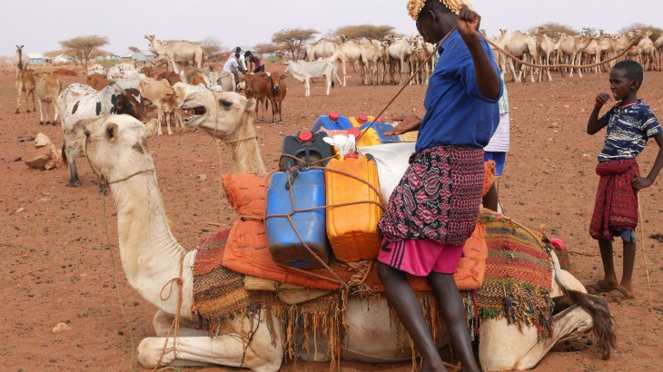 Somalia: Flowing water brings livestock herders together