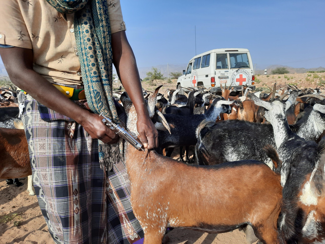 The vaccination campaign helped to protect animals against disease-related deaths