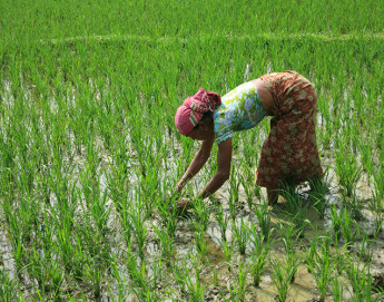Bangladesh: Sustaining hope and livelihoods in Chittagong Hill Tracts