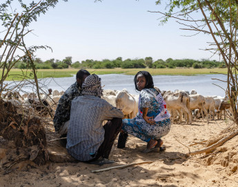 Mali-Níger: Mudança climática e conflito são uma mistura explosiva no Sahel