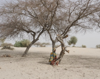 Мали: когда изменения климата и конфликт накладываются друг на друга