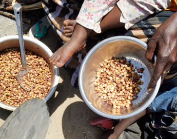 非洲各地灾难几乎无人关注 四分之一的民众面临粮食安全危机 