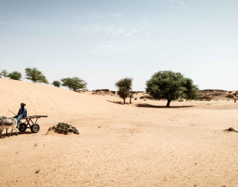 Mali’s invisible front line: climate change in a conflict zone 