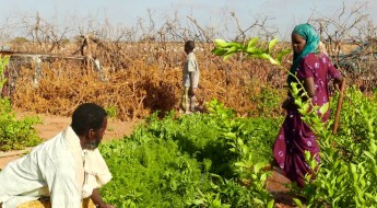 Somalia: Supporting communities during protracted conflict