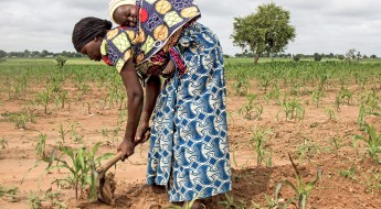 Нигерия: крестьяне, возвращающиеся из Камеруна, начинают посевную, используя для будущего урожая семена, предоставленные МККК 