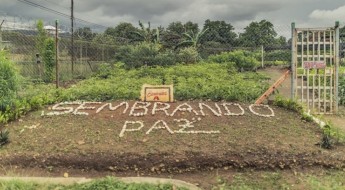 Sembrando Paz: el vivero que está reforestando vidas en la cárcel de La Joyita en Panamá
