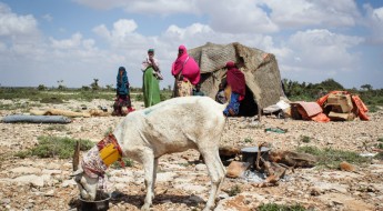 الصومال: إعادة الحياة إلى طبيعتها في أعقاب العاصفة المدمرة التي ضربت بونتلاند