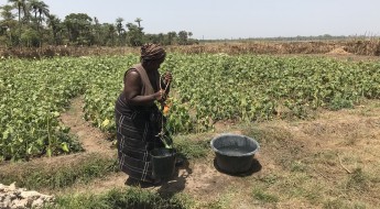 Casamance – Biya et Mathilde gardent l’espoir de pouvoir rentrer un jour chez elles 