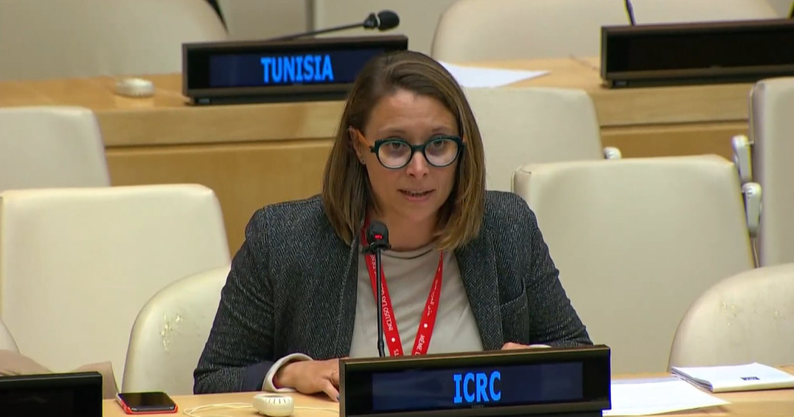  Laetitia Courtois, Head of Delegation and Permanent Observer, United Nations New York