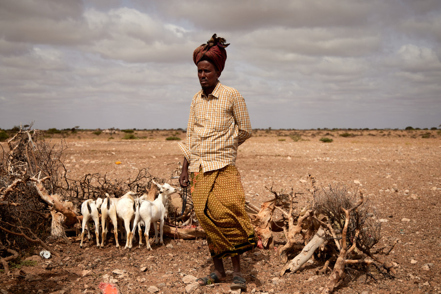 The recurrent nature of climate shocks leaves little time for people to recover. Climate projections suggest worse is yet to come. Abdikarim MOHAMED/ICRC