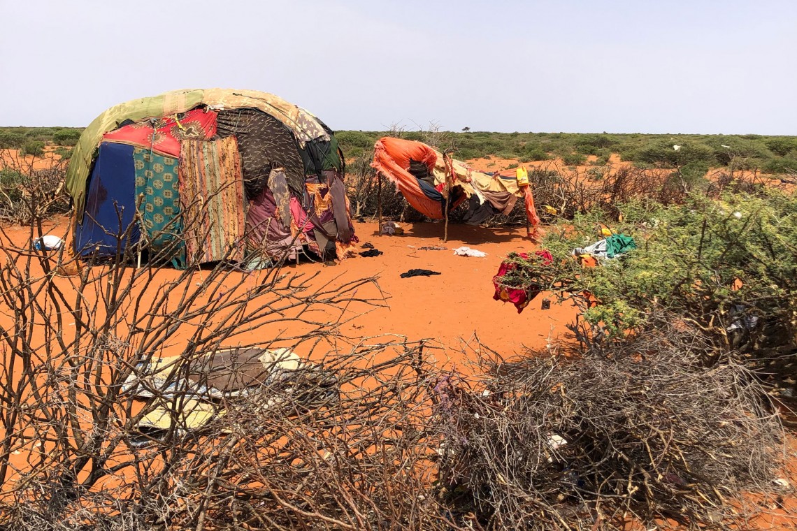 Pastoralists in Somalia are constantly on the road with their livestock, hoping to find water and greener pastures.